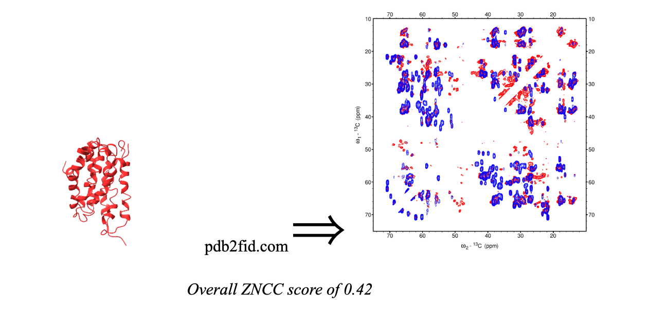 Protein Structure Analysis